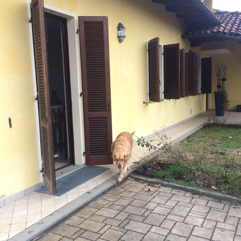 immagine annuncio 1 di 7