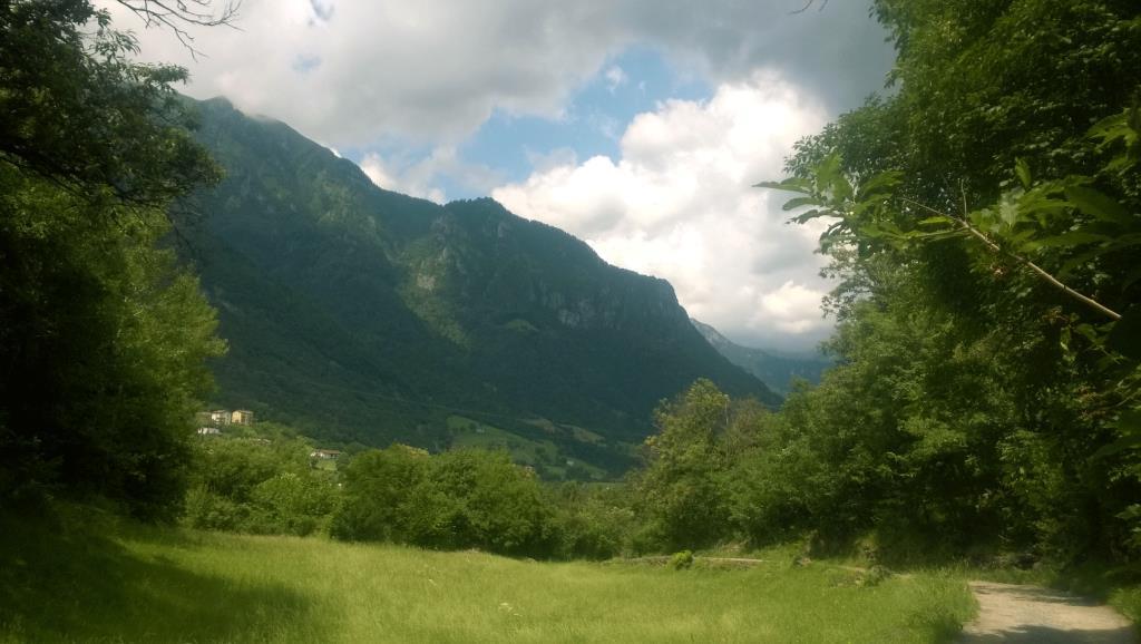 immagine annuncio 3 di 6