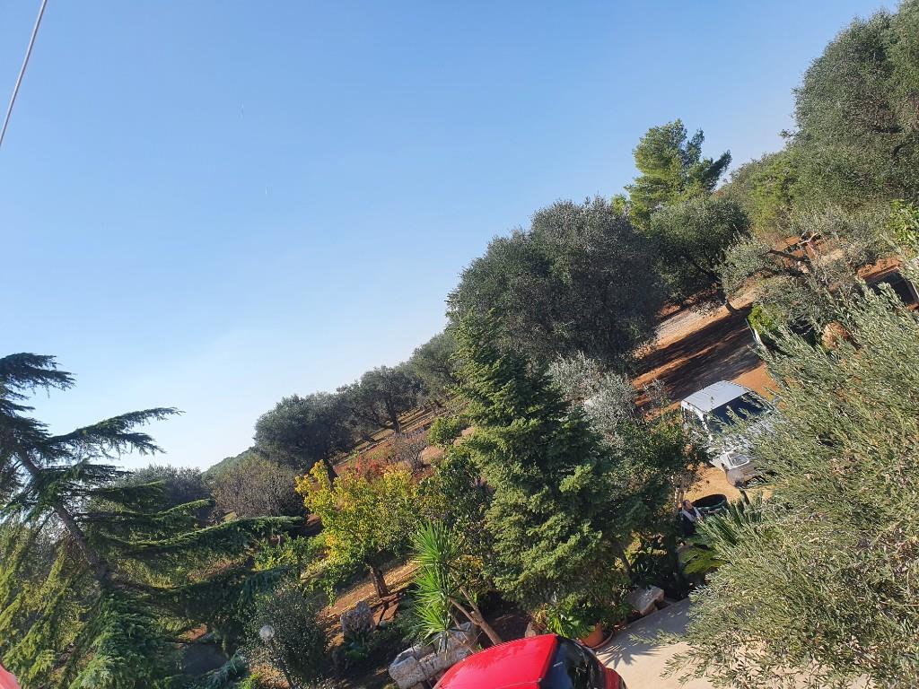 immagine annuncio 4 di 7