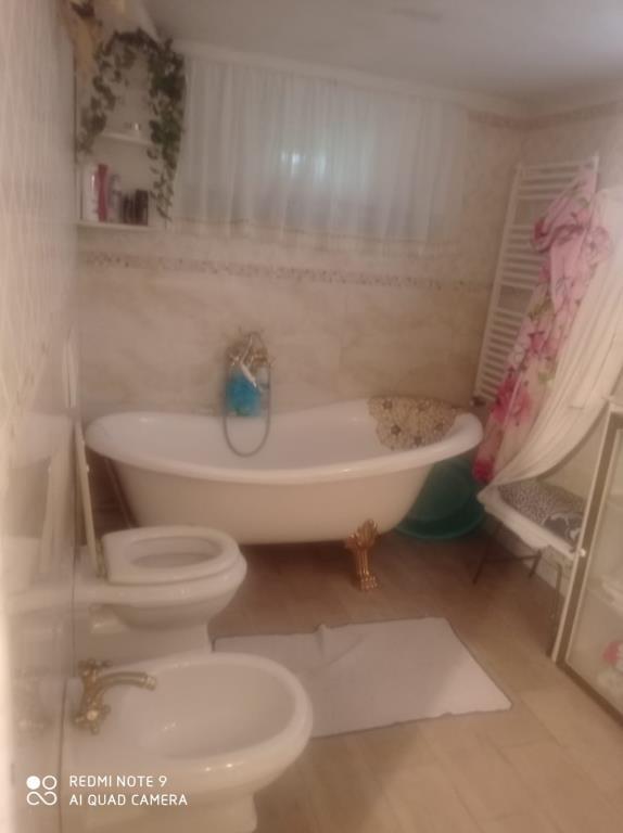 immagine annuncio 4 di 7
