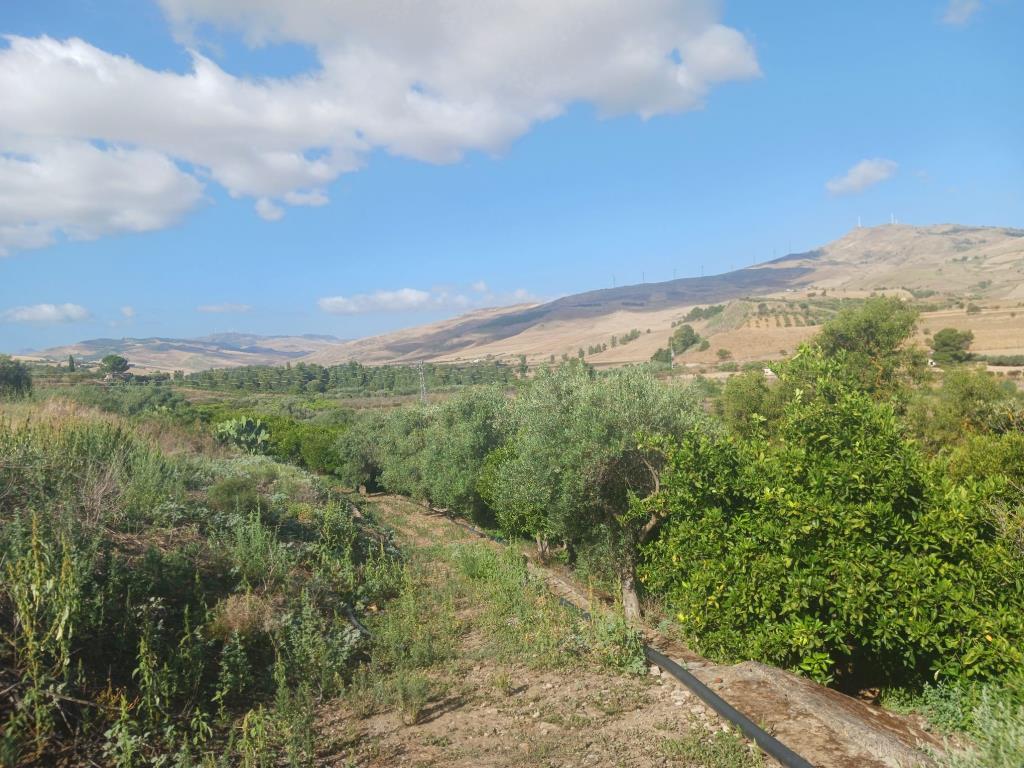 immagine annuncio 5 di 7