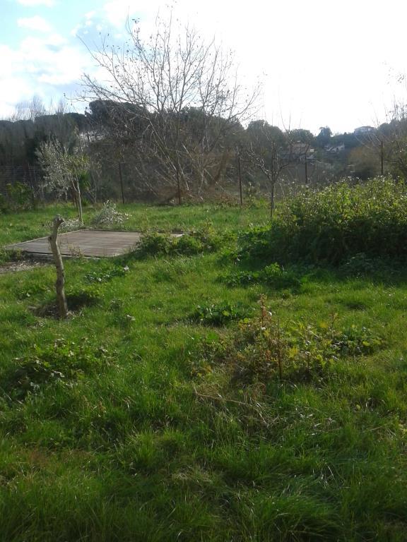 immagine annuncio 3 di 7