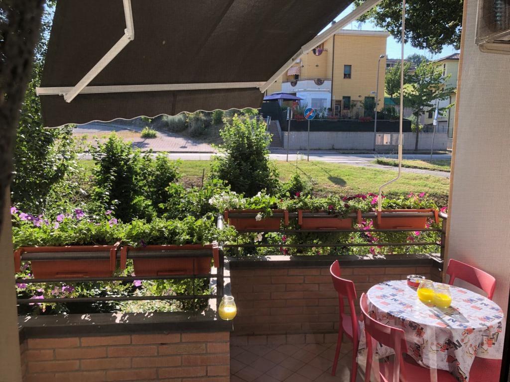 immagine annuncio 3 di 7