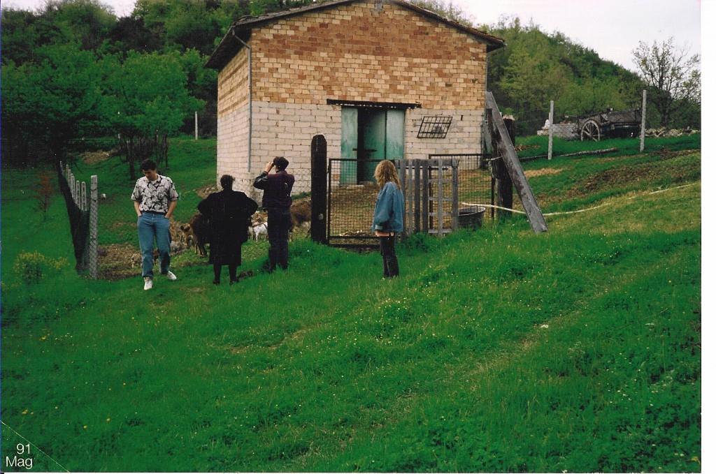 immagine annuncio 1 di 7