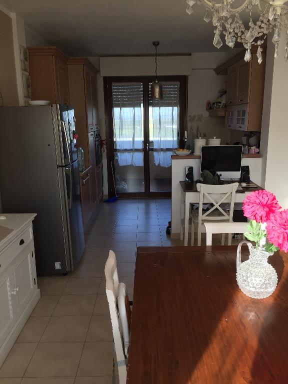 immagine annuncio 3 di 6