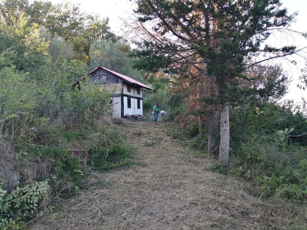 immagine annuncio 6 di 7