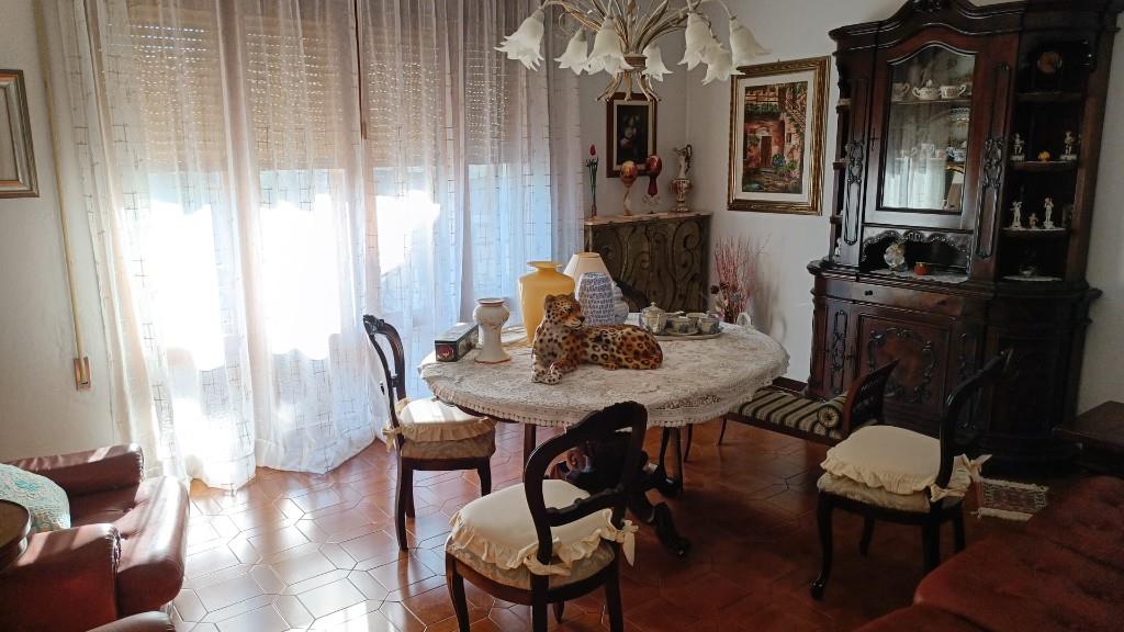 immagine annuncio 2 di 6