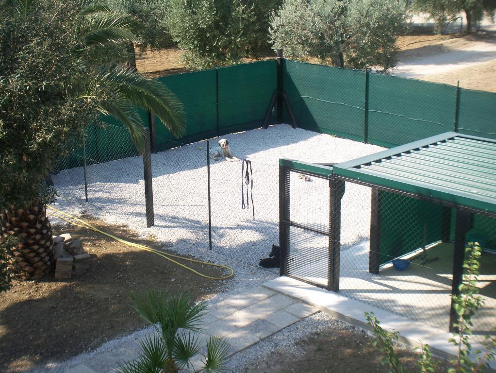 immagine annuncio 5 di 7