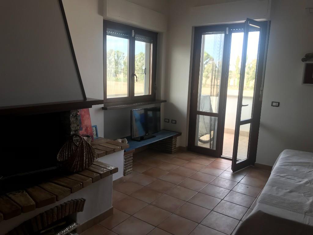 immagine annuncio 5 di 7