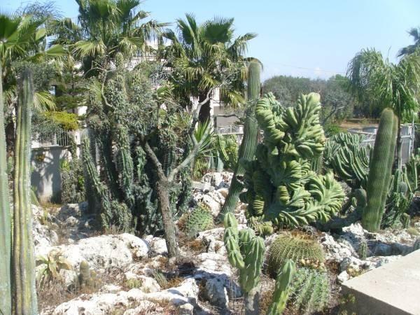 immagine annuncio 6 di 7