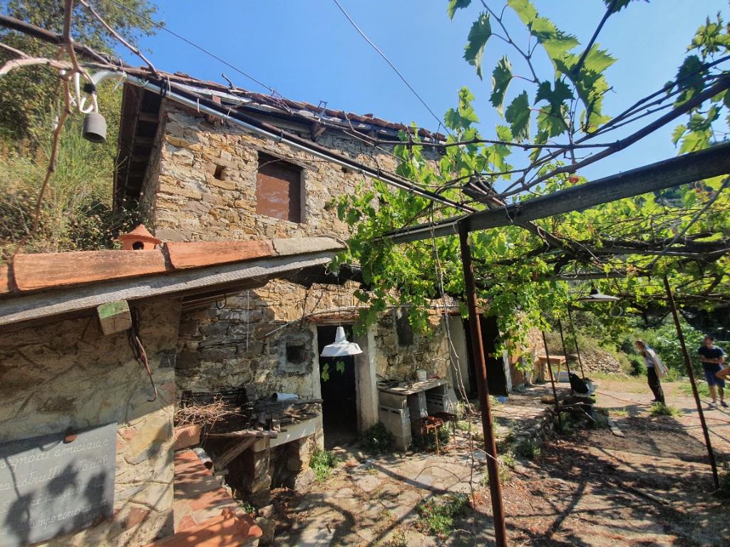 immagine annuncio 4 di 7