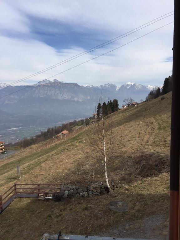 immagine annuncio 5 di 7