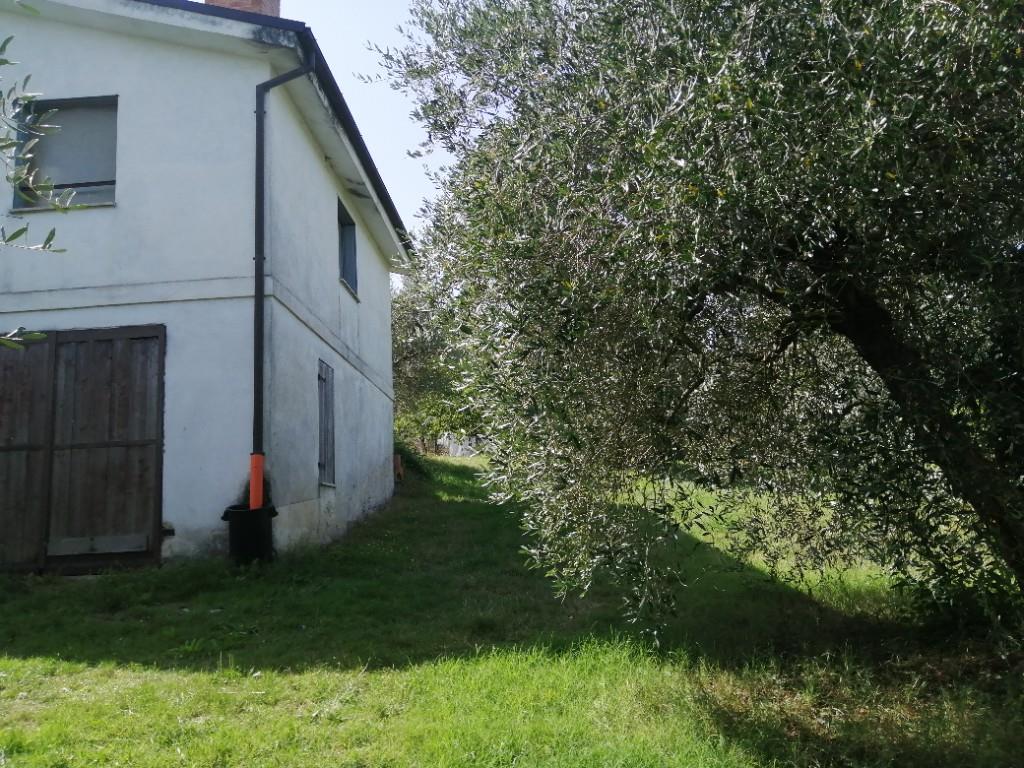 immagine annuncio 4 di 7