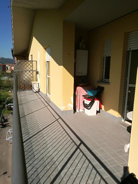 immagine annuncio 5 di 7