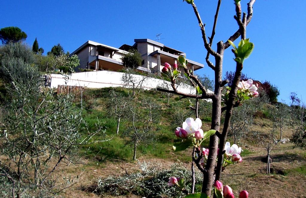 immagine annuncio 2 di 7