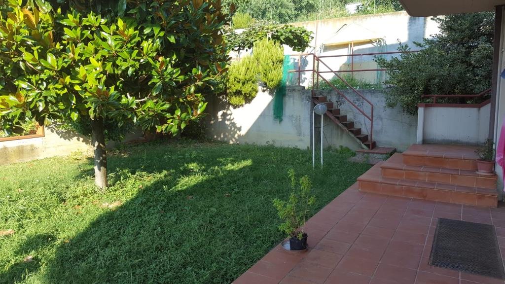 immagine annuncio 4 di 7