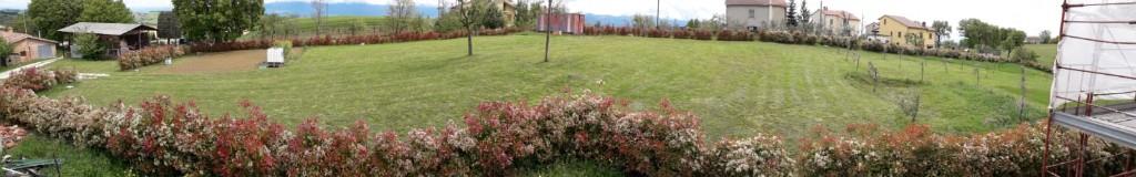 immagine annuncio 2 di 6