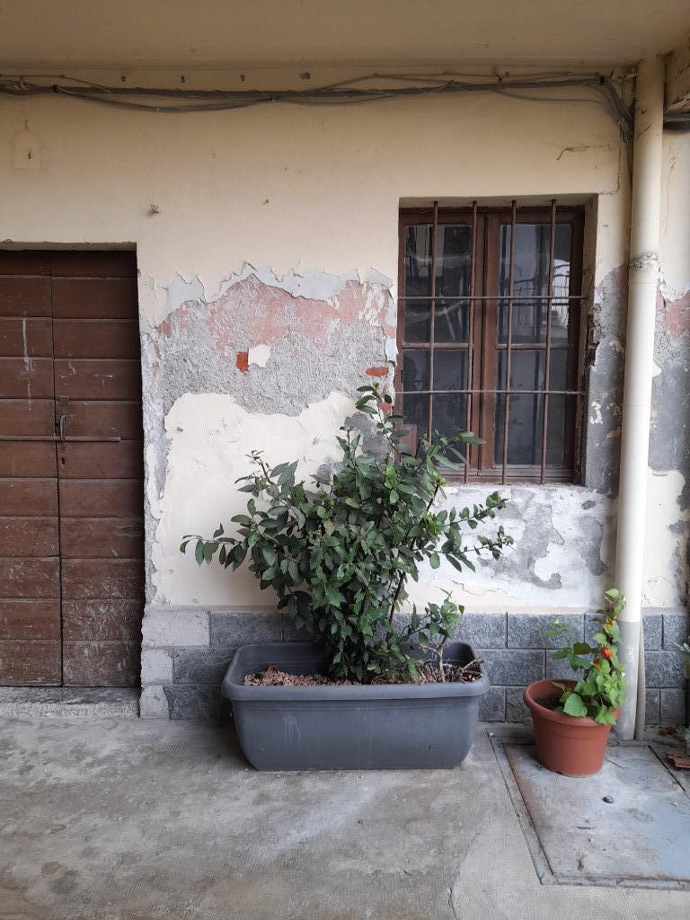 immagine annuncio 2 di 6