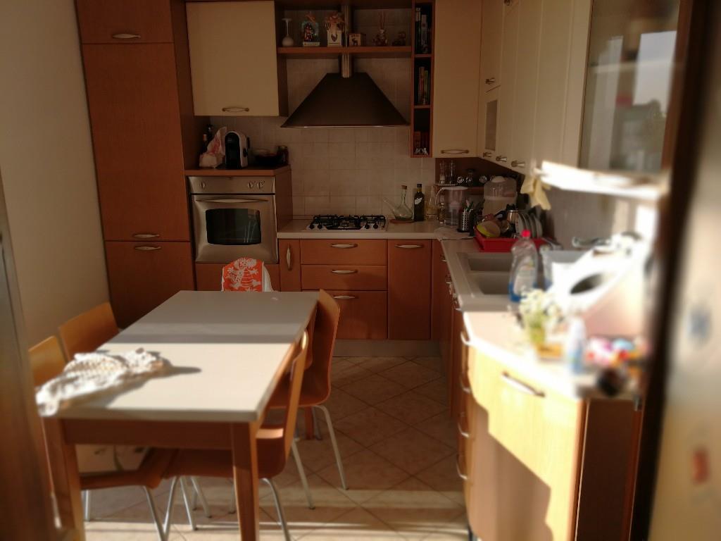 immagine annuncio 2 di 7