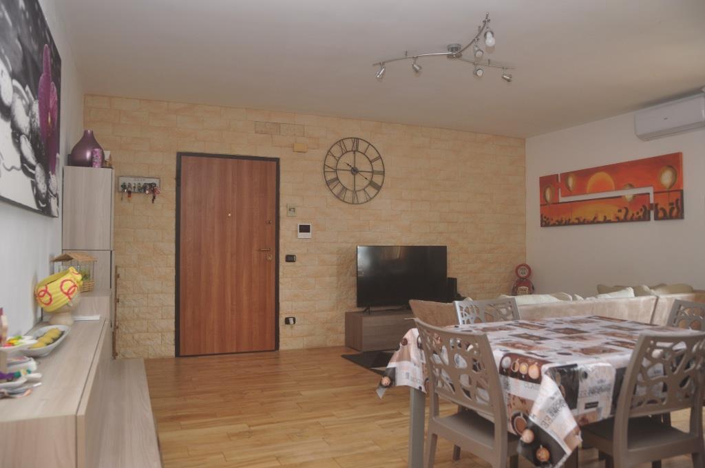 immagine annuncio 1 di 7