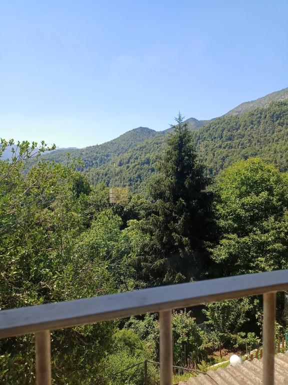 immagine annuncio 4 di 7