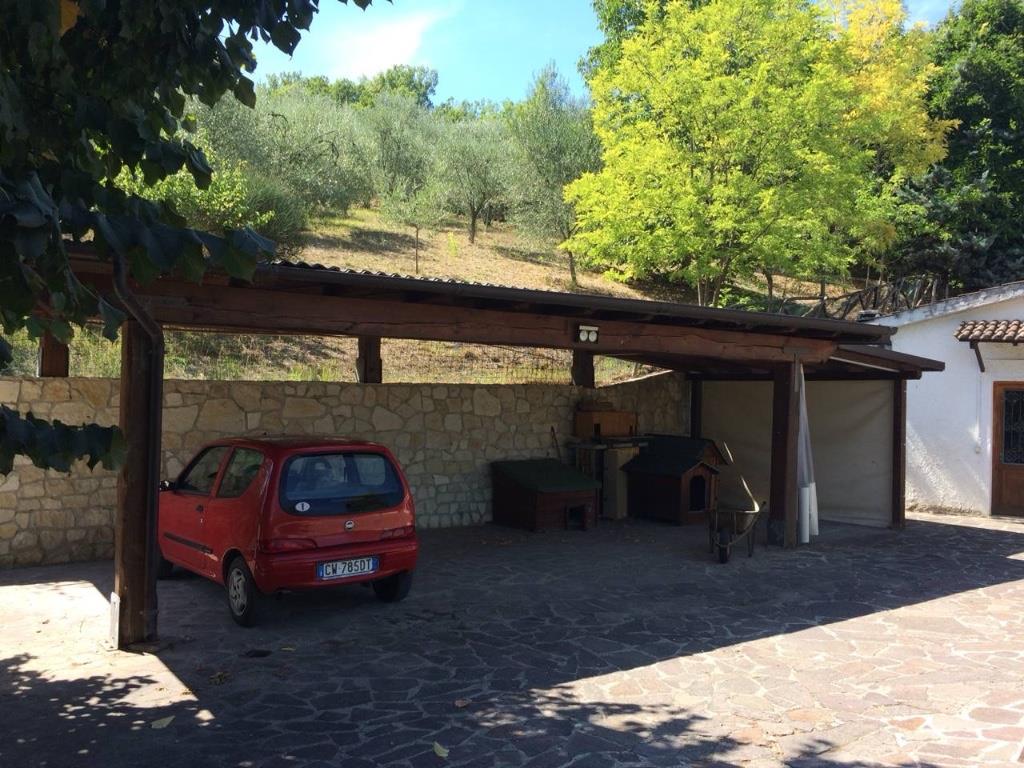 immagine annuncio 6 di 7