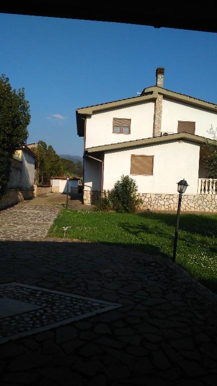 immagine annuncio 2 di 7