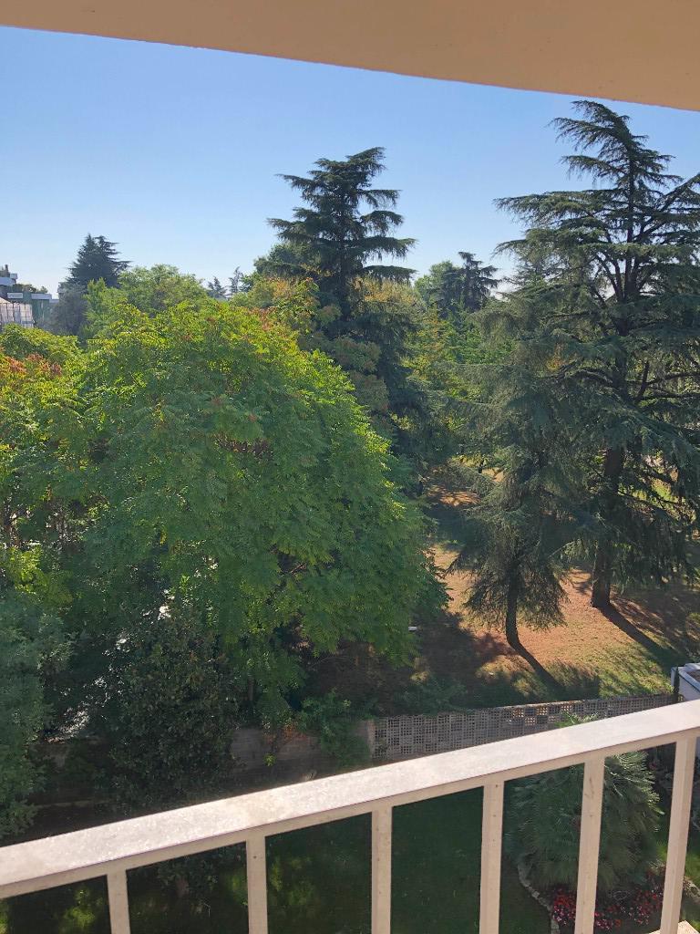 immagine annuncio 6 di 7