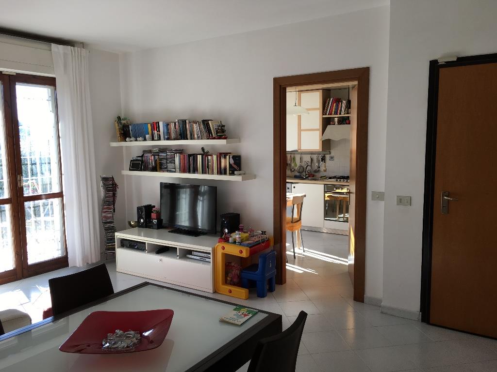 immagine annuncio 5 di 7