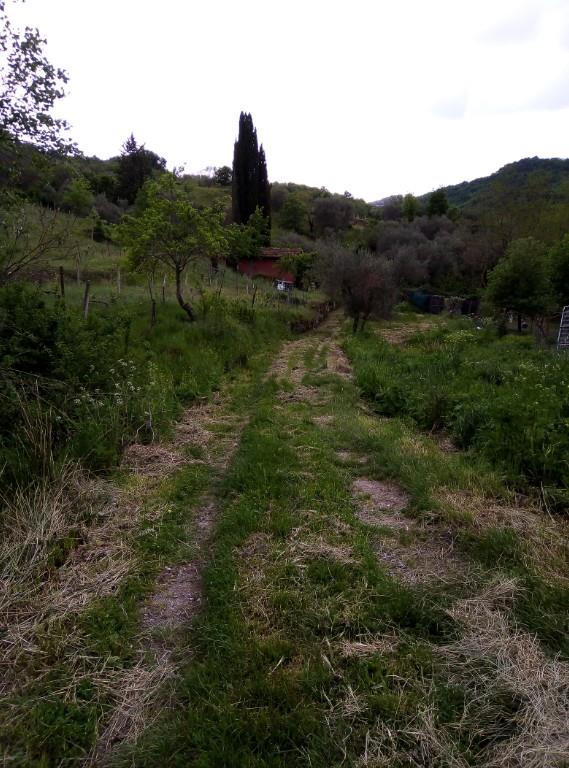 immagine annuncio 6 di 7
