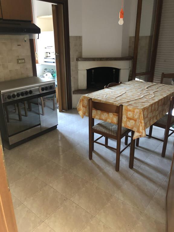 immagine annuncio 4 di 7