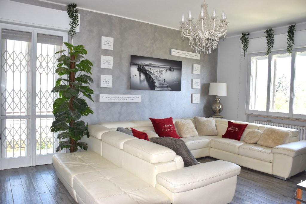 immagine annuncio 5 di 7