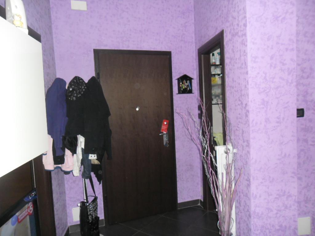 immagine annuncio 1 di 7