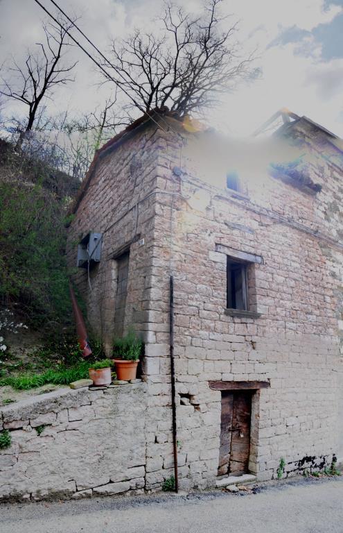 immagine annuncio 1 di 2