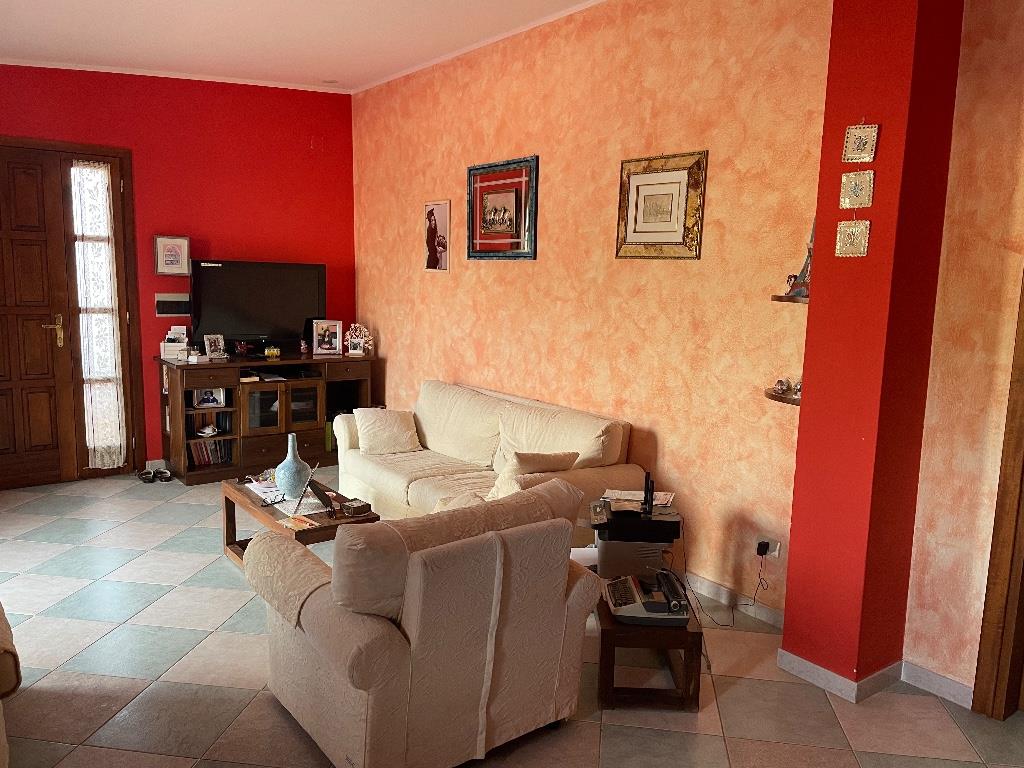 immagine annuncio 4 di 7