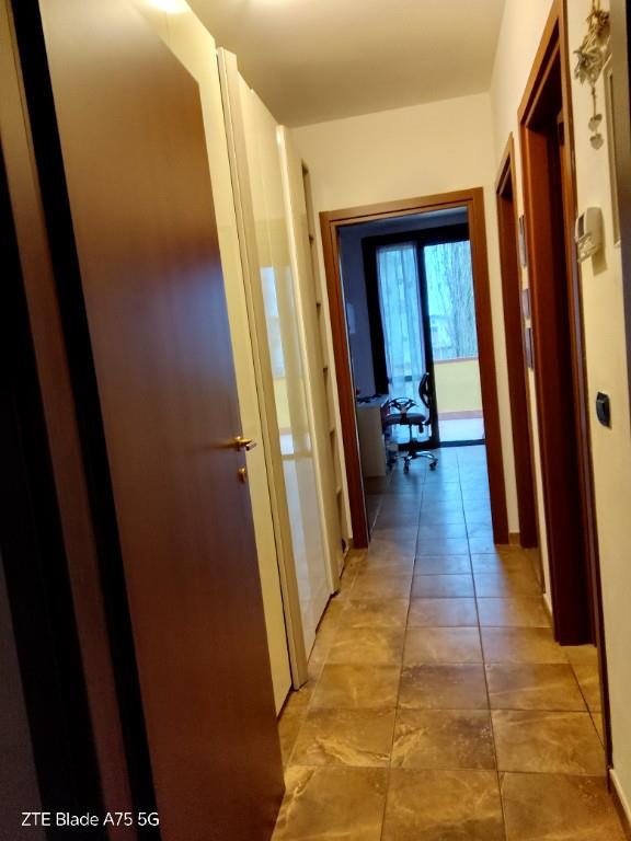 immagine annuncio 2 di 7