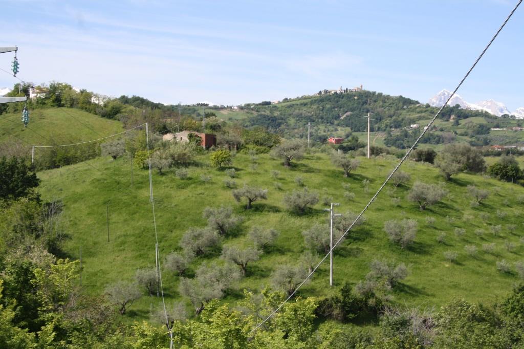 immagine annuncio 3 di 7