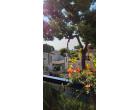 Foto - Affitto Appartamento Vacanze da Privato a Giulianova (Teramo)