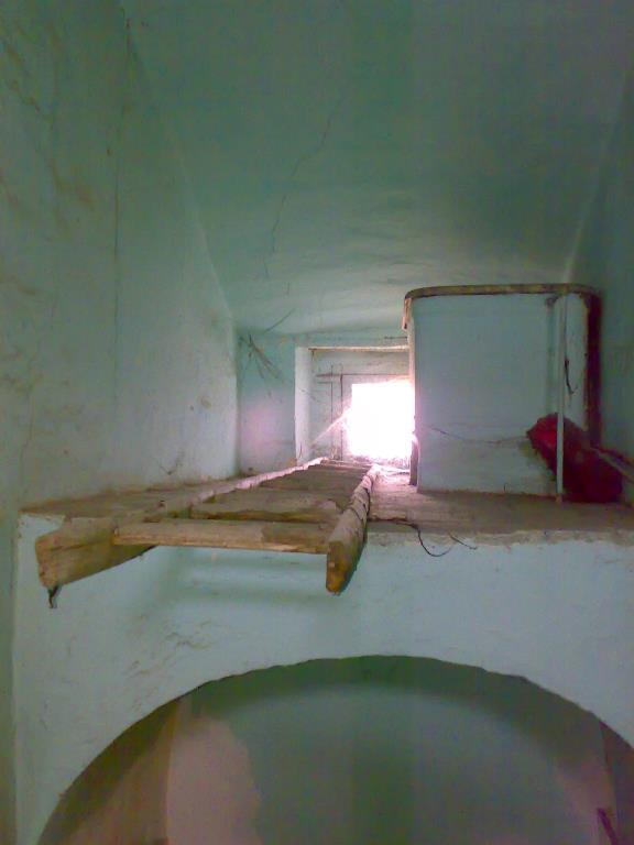 immagine annuncio 4 di 7