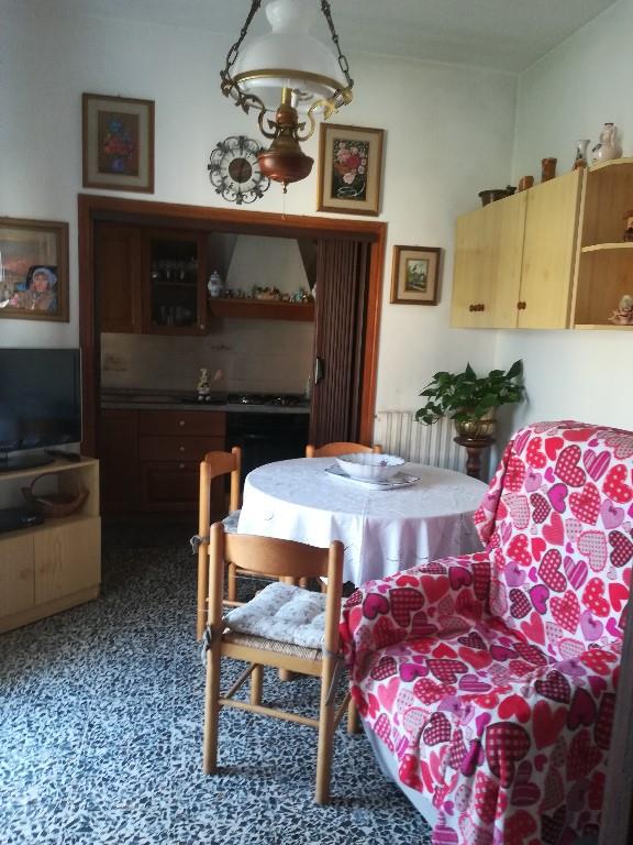 immagine annuncio 3 di 7