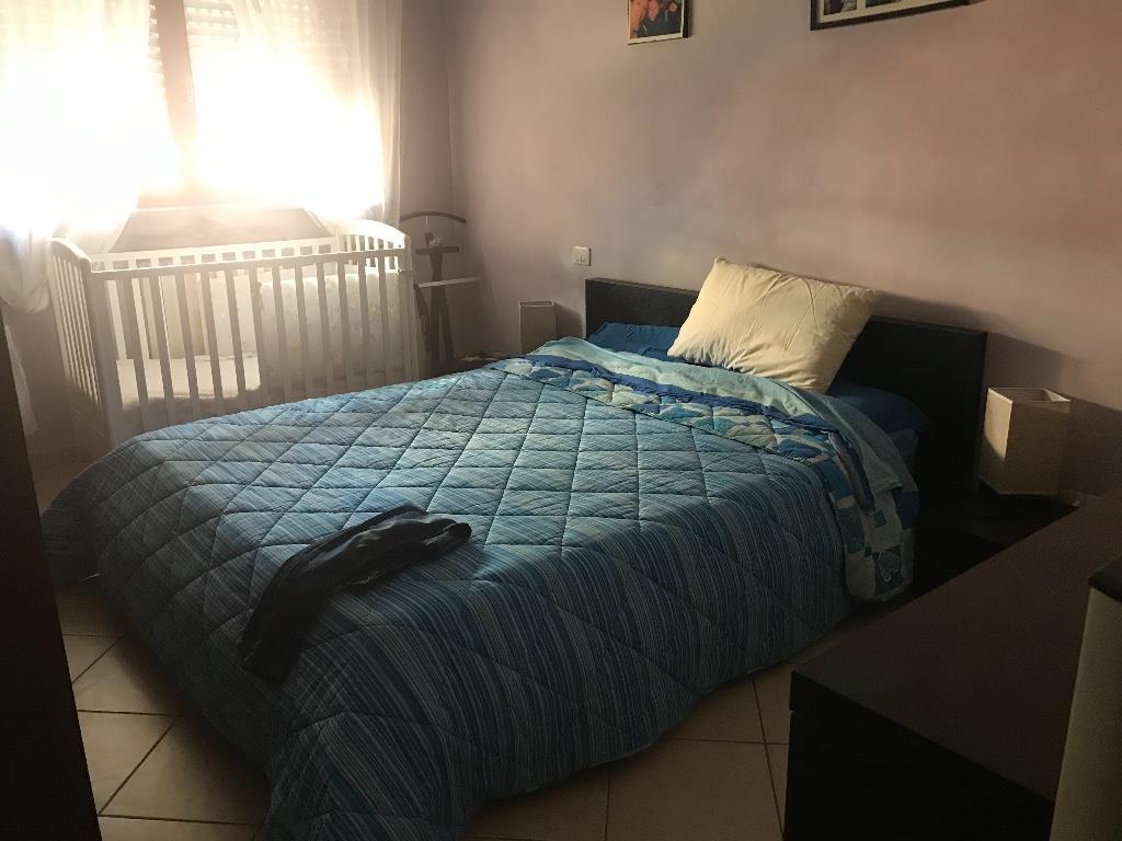immagine annuncio 5 di 7