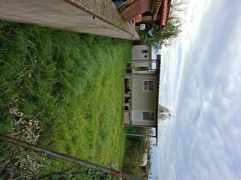 immagine annuncio 2 di 4