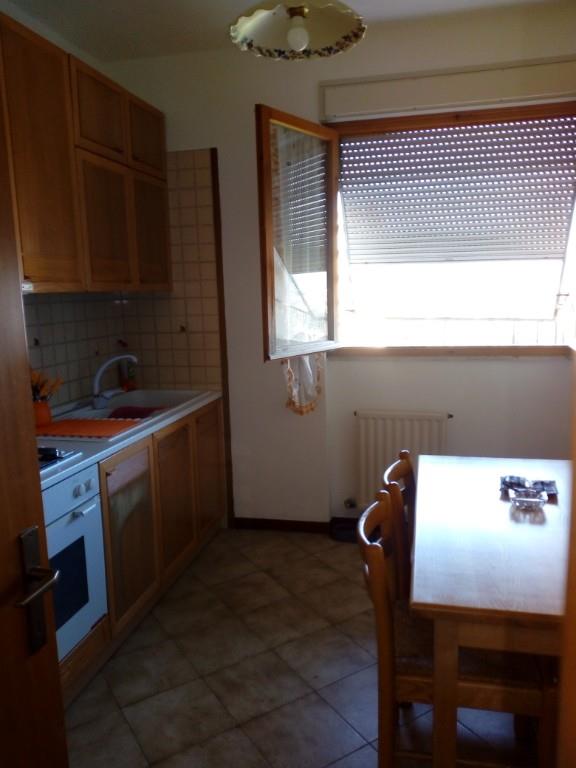 immagine annuncio 2 di 7