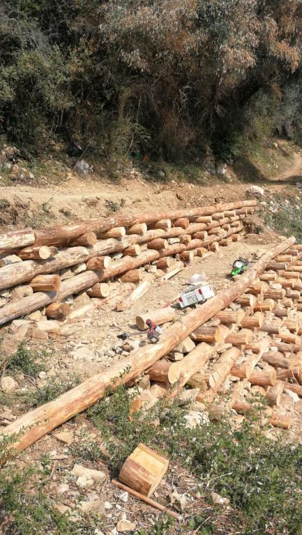 immagine annuncio 6 di 7