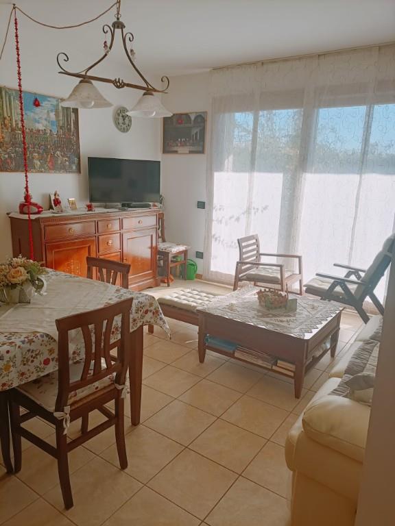 immagine annuncio 6 di 7