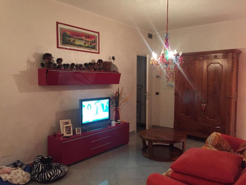 immagine annuncio 2 di 7