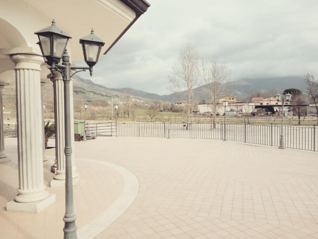 immagine annuncio 5 di 7