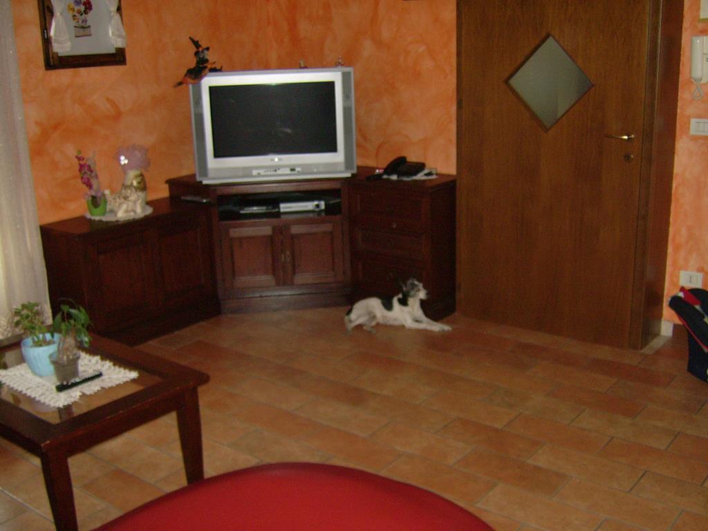 immagine annuncio 3 di 6