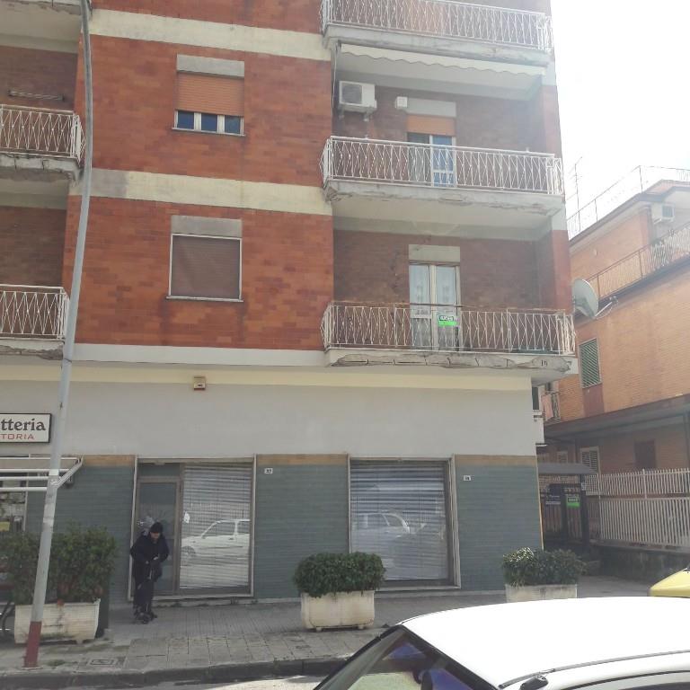 immagine annuncio 4 di 7