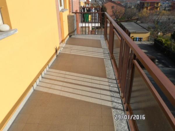 immagine annuncio 5 di 7